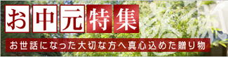 お中元特集